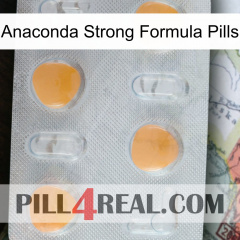 Anaconda Strong Formula Pills 24